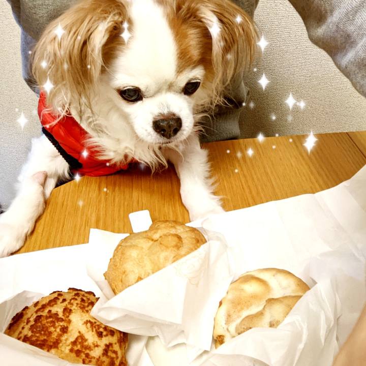 45fb7bf4 8c9b 4426 bb2e d016c5845ba7 1650450850603