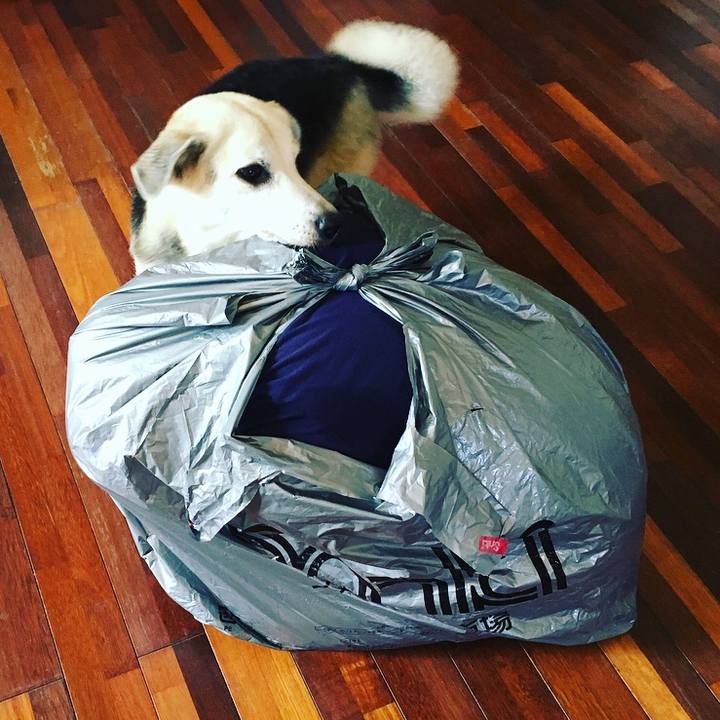 45fb7da1 ae24 4232 95dd dda789107c24 1562075269215