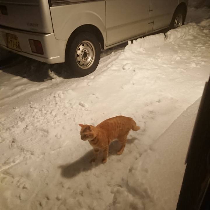 45fb8cee 0d3e 4c02 b517 e5431f1ddd81 1642249585561