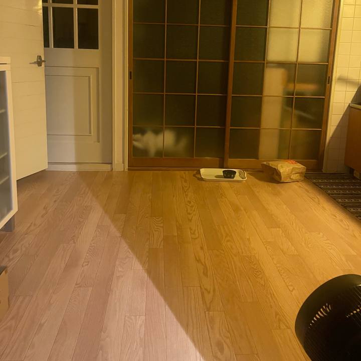 45fbd316 1033 4087 a438 29da3b2a405d 1725016781150