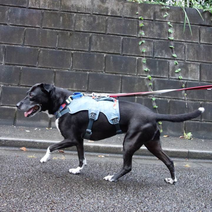 45fbdaa7 d6d8 4031 9c34 2ee518ab16fc 1729212338818