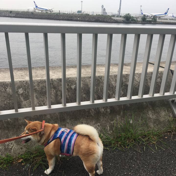 45fc059a 6cd0 4be2 9c6f 6eec11836e0c 1562830702716