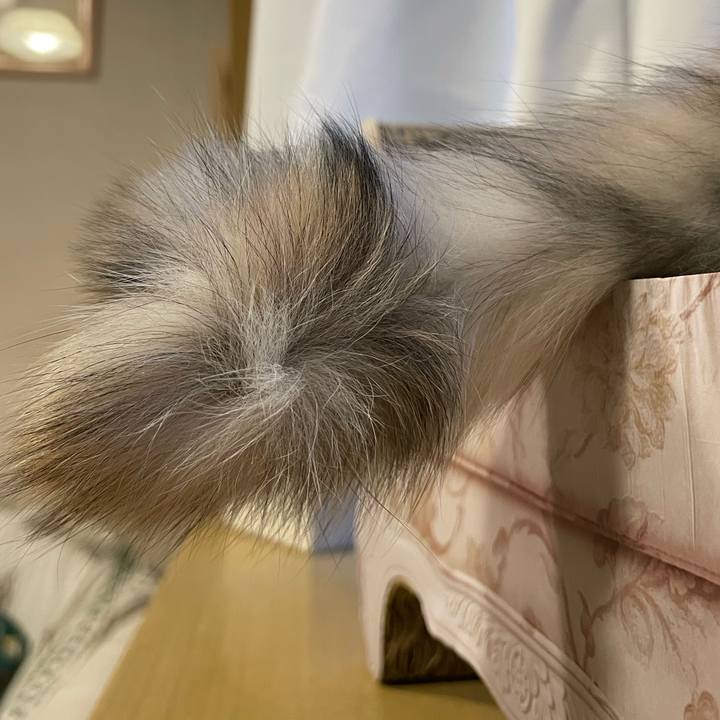 45fc39cb e635 429c 9a3c f6d65394927e 1676276212714