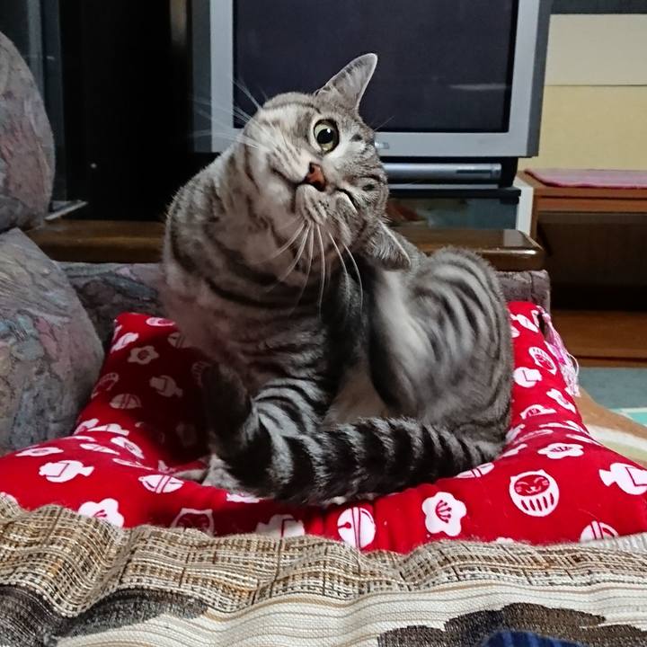 45fc3ba5 ad07 479b a301 1525f429f30d 1573042820907