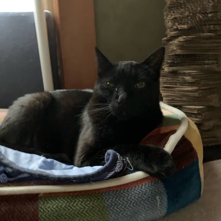 45fc6518 1708 42bf a4af 5299edeaa8ba 1594688465772