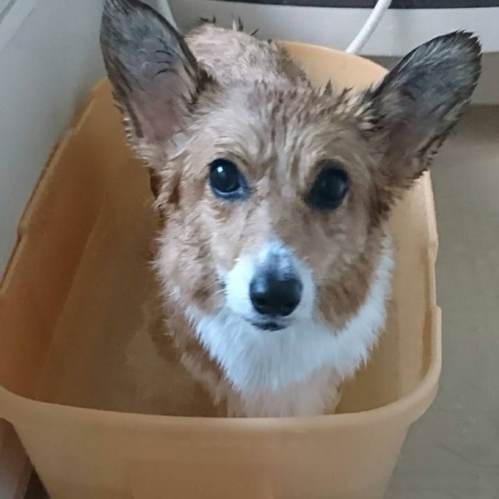 45fc8527 1542 4118 8690 da9b148ee334 1541059586461