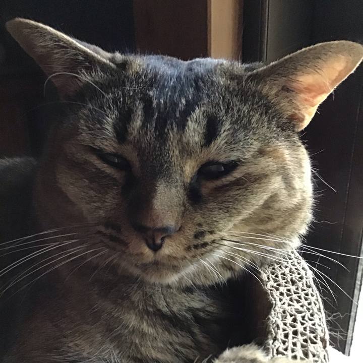 45fc8bb1 d5a5 415a 95c9 93b054b147a8 1754396950772