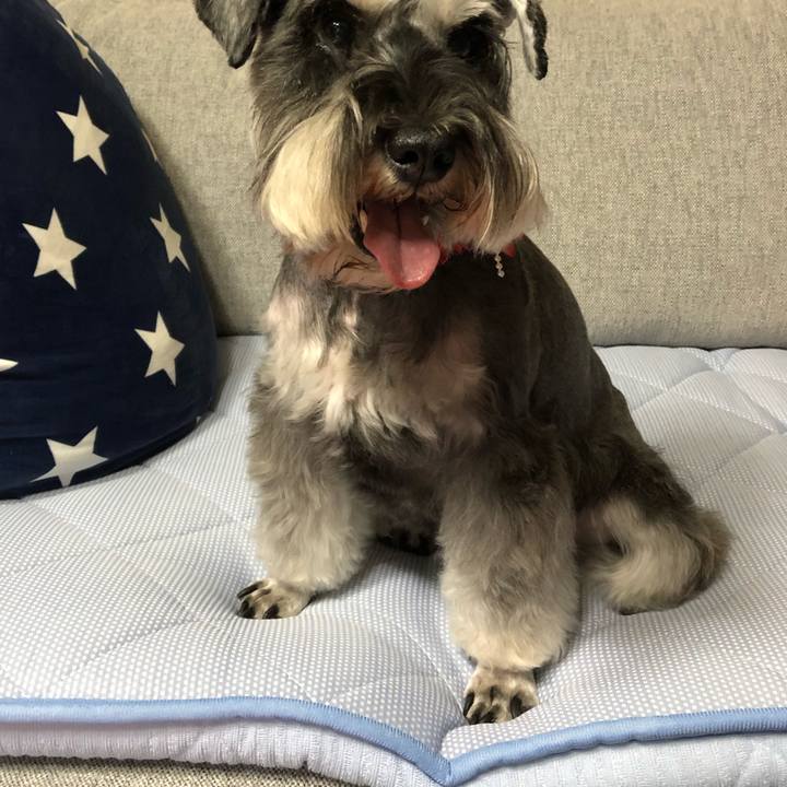 45fcf1e7 b5b2 4de5 9424 d893394467fd 1593163308093