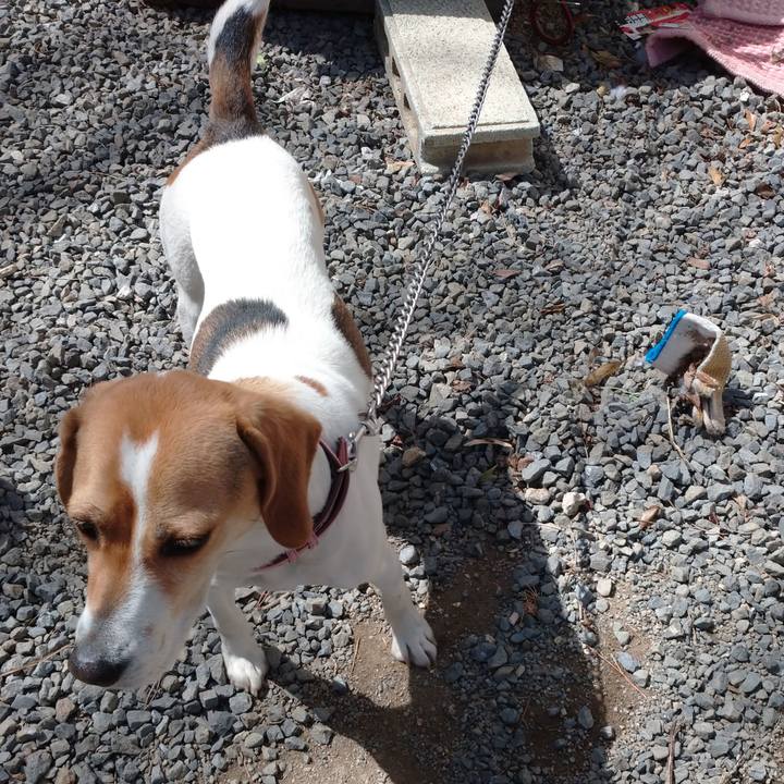 45fd0fb2 0eff 4b1f 98cd f7c7829677a0 1584766260159