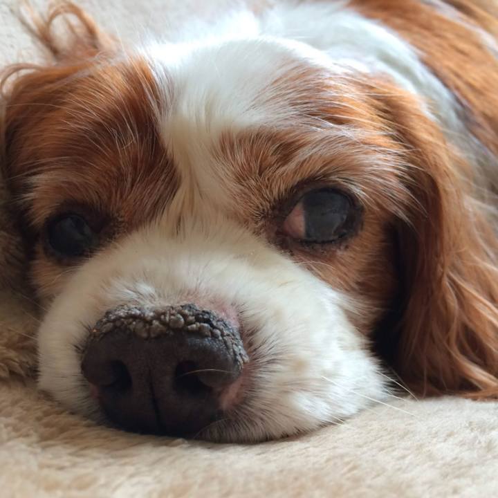 45fd1a85 b5a3 4a83 9722 f9b1064544ad 1736731287731