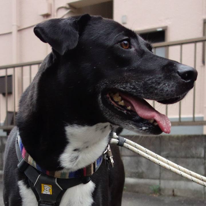 45fd2217 2e97 4001 896e d7dc41b7c586 1659569970038