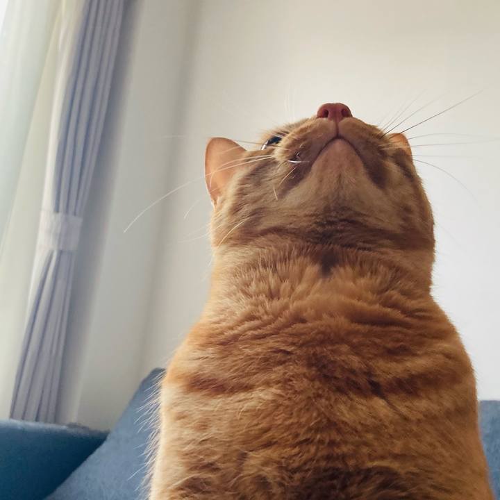 45fd2a4c dd95 4585 a870 950c31c6c1f6 1613991511946