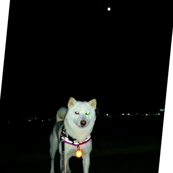 45fd2c12 31a8 484b a5b1 bcb3e01f8121 1545297340699