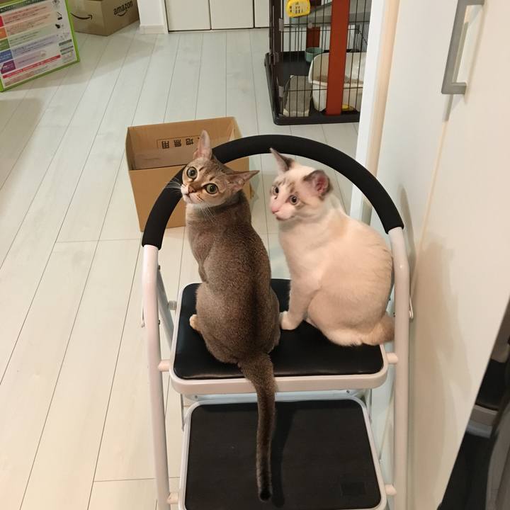 45fd96ad 6434 4758 a65d d6d4ecfea383 1512315232446