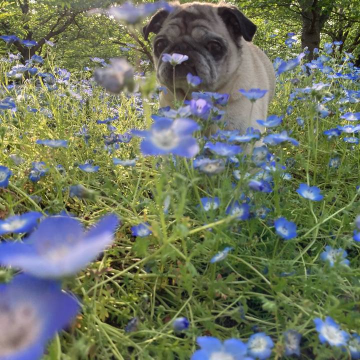 45fdb2f6 6b2d 4379 a782 d42f5343d87e 1619610469802