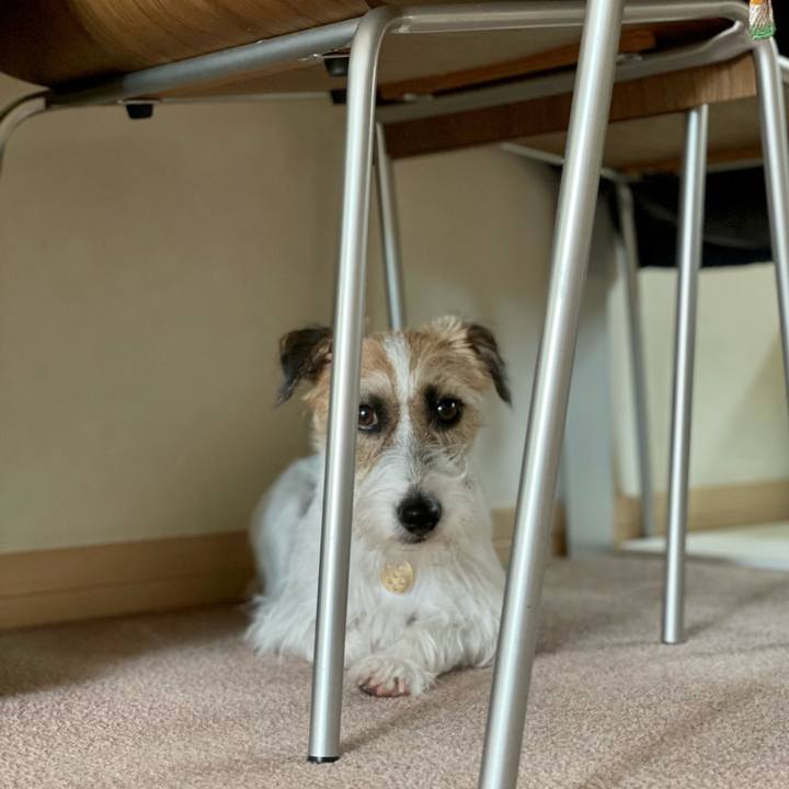 45fdb527 ecb4 445a 8623 98e7d4f40e9d 1627622666380