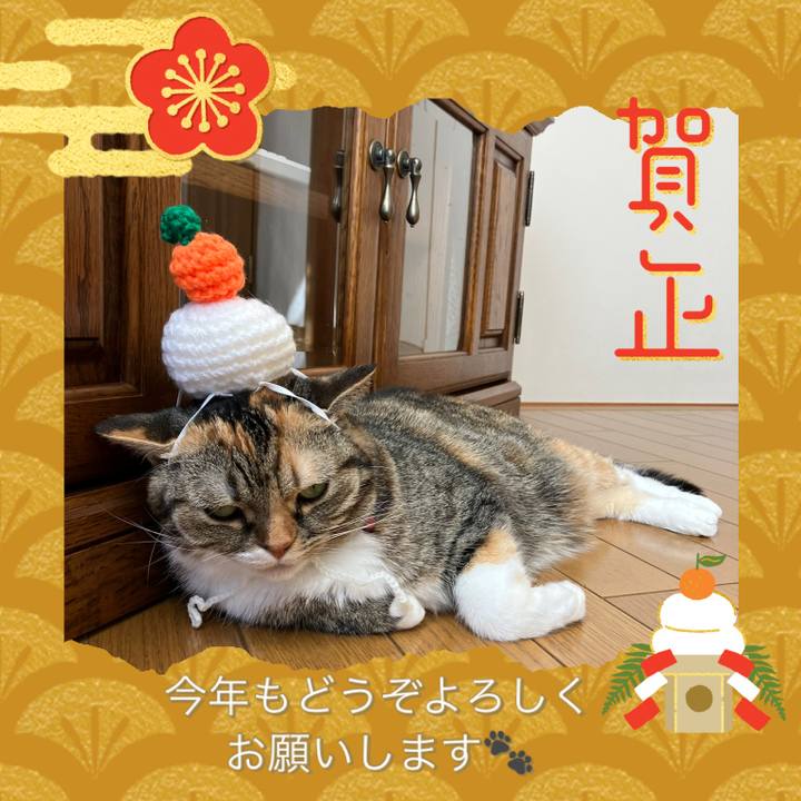 45fdd11b 59d4 4043 a6f7 09dbea2da036 1767241798860