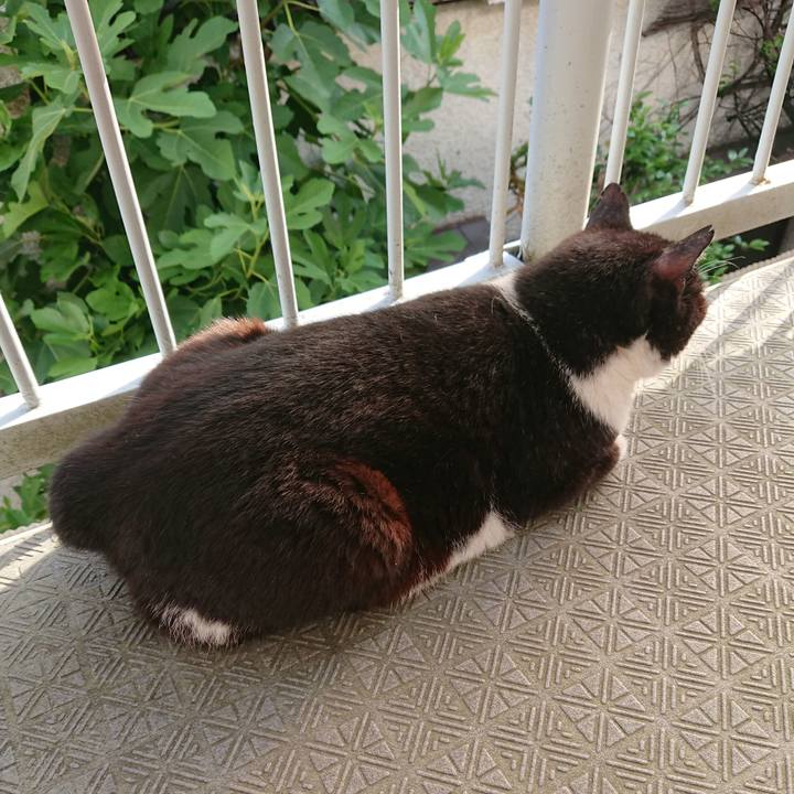 45fddcbc 1f3d 4026 aebd c973e9fae92a 1560469384899