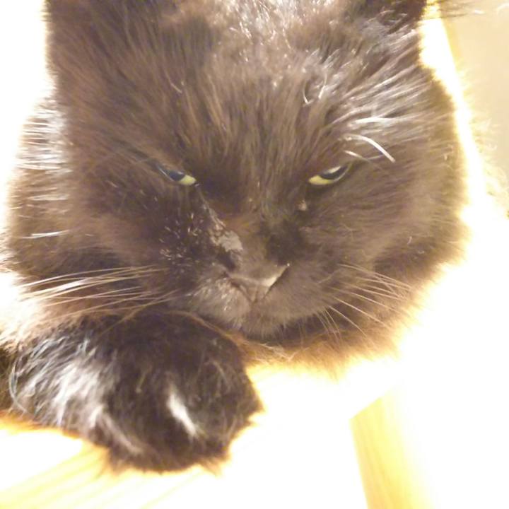 45fdfa5a 6998 4e41 b52a b44290298ed6 1566902213787