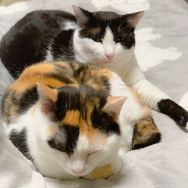 45fdfb7b 8274 4ad3 8cae cb2f728f312e 1557978610313