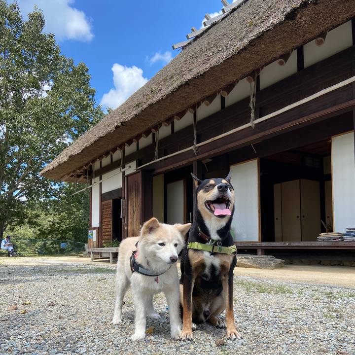 45fe2f86 bb3e 4352 9a39 6bdcc068af34 1694339731351