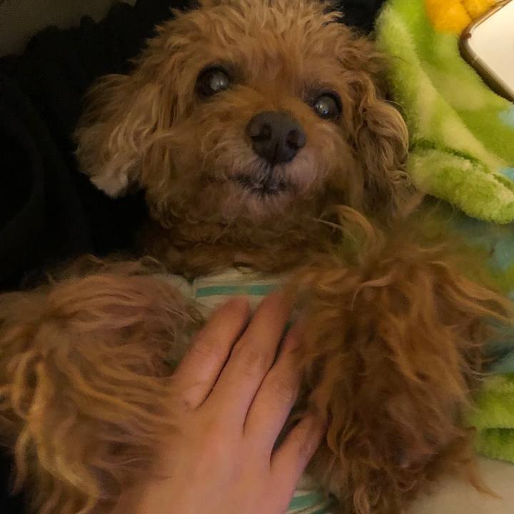 45fe430c ef66 4b5d 80de f58c74c67718 1594966586441