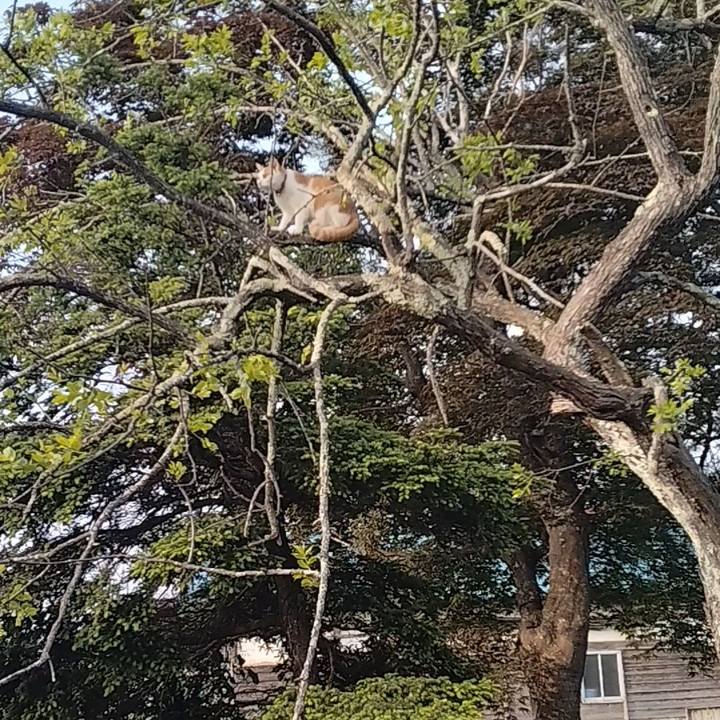 45fe83eb eff1 44e9 b46a e71e502df195 1748817246255