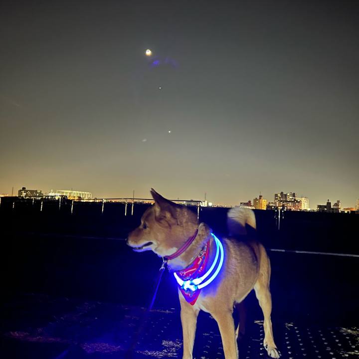 45fee1fd 333c 47a7 b1c2 d14bf65b50d8 1677448582008