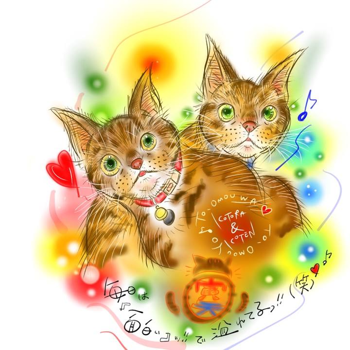 45ff0149 6eef 4b51 976b d9159bdd9972 1615502586516