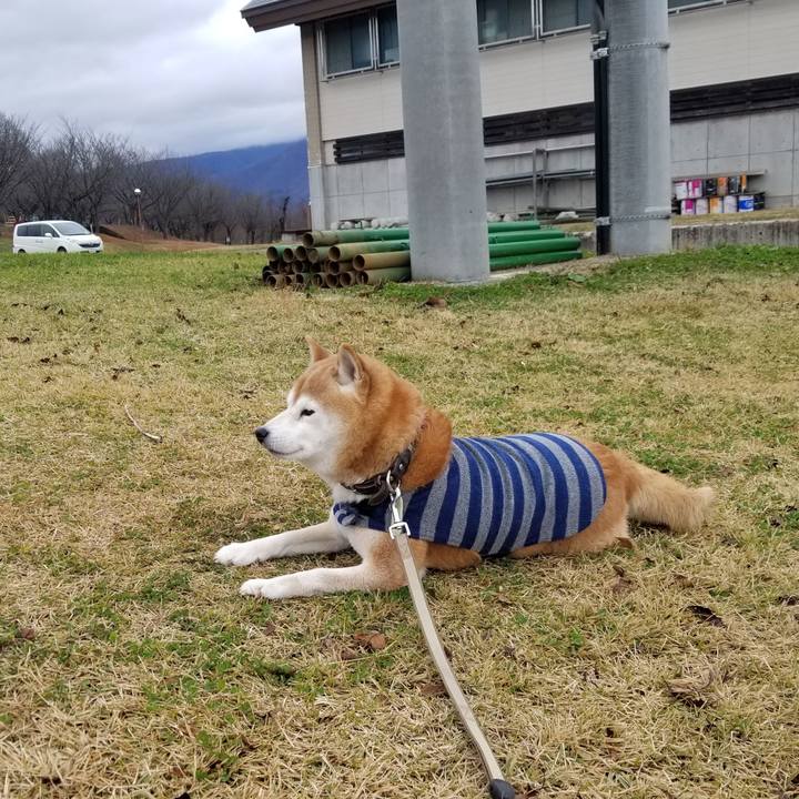 45ff0f1b 80b3 4cec b11f 786d4b71303e 1669869560429