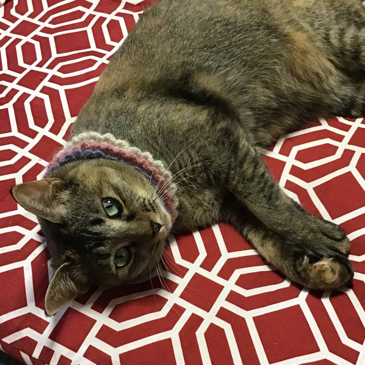 45ff52ba 689a 4ba9 ba23 c742b3177156 1625902042614