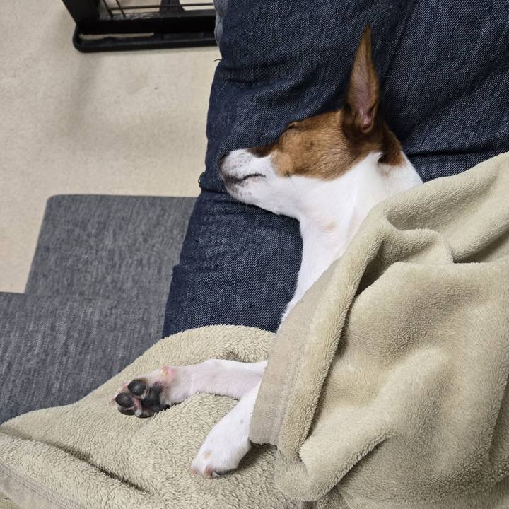 45ff706a 4f09 411e a0c1 786858b7921c 1772887723585