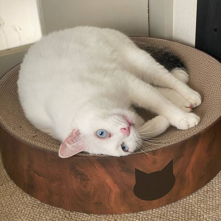 45ff71b3 23cf 4d75 b464 53479b5afae6 1733529086936