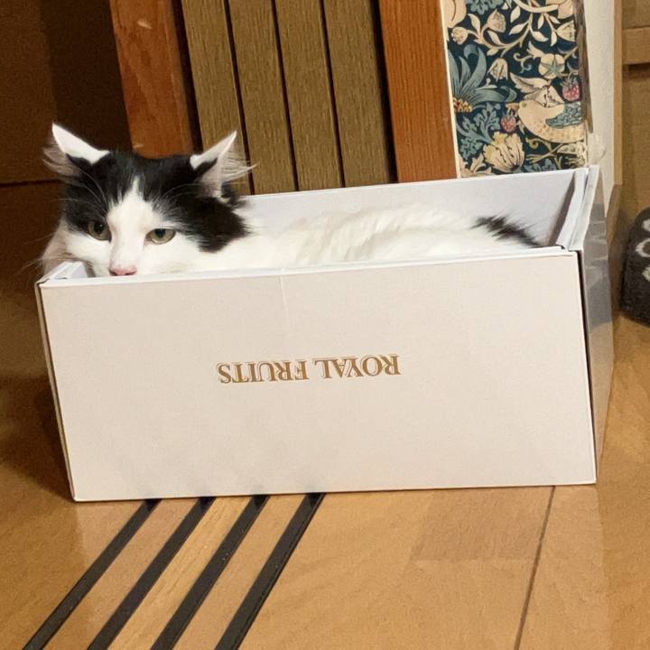 45ff7bfd d625 4cf4 87ca 277dd2b53317 1786364984664