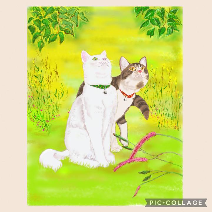 45ffa352 00b6 403d 8c39 bd20bb279dd1 1661064493464