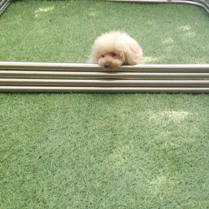 45ffa59f 1084 4440 b060 b299a99a84bc 1542271422310