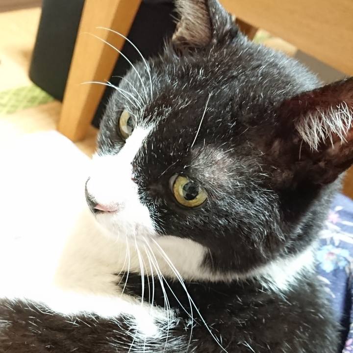 460001bd 48d8 4988 906a 05d6ca6bda53 1632828069122