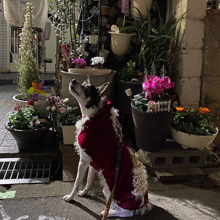 46003cc5 75ce 4f66 b879 cb56ea6e2368 1577279213556