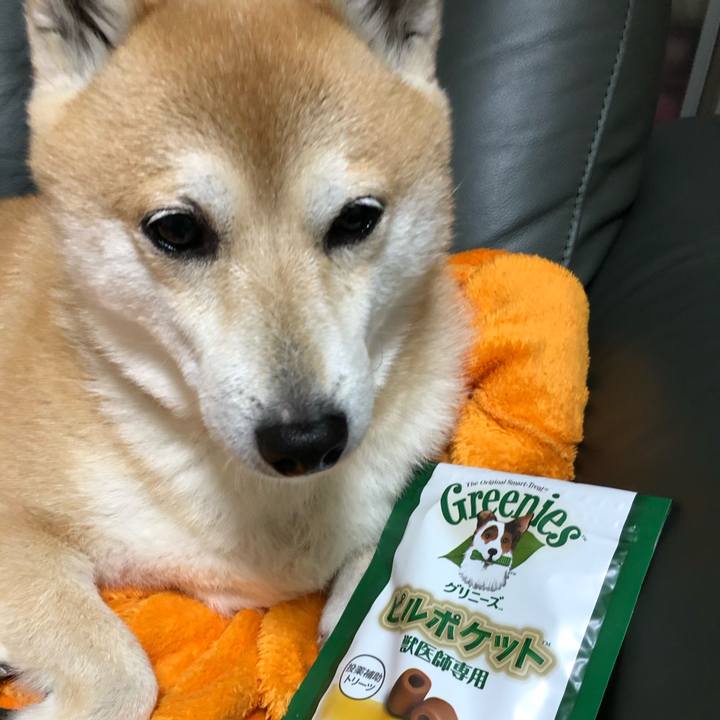 46003f78 356d 4401 8d51 be9cd5ee58ba 1579094612449