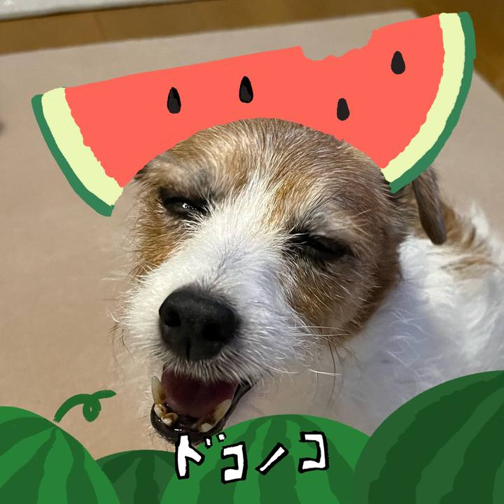 460086d8 b51e 4d02 a1a3 8e1e889e7452 1720756932697