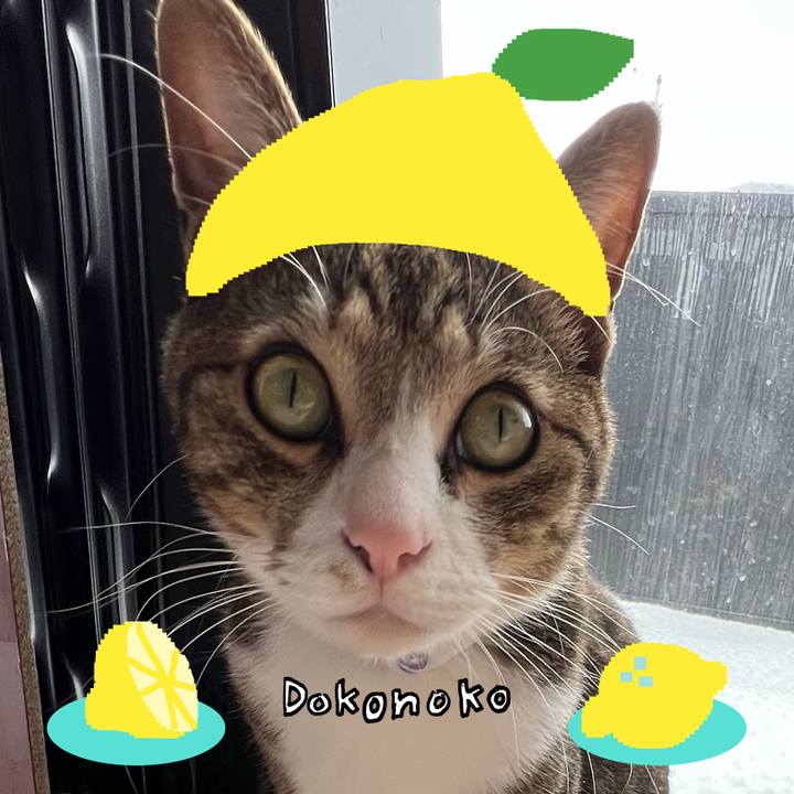 46009e29 99d6 464e a3b7 e034db2ab712 1741089444277