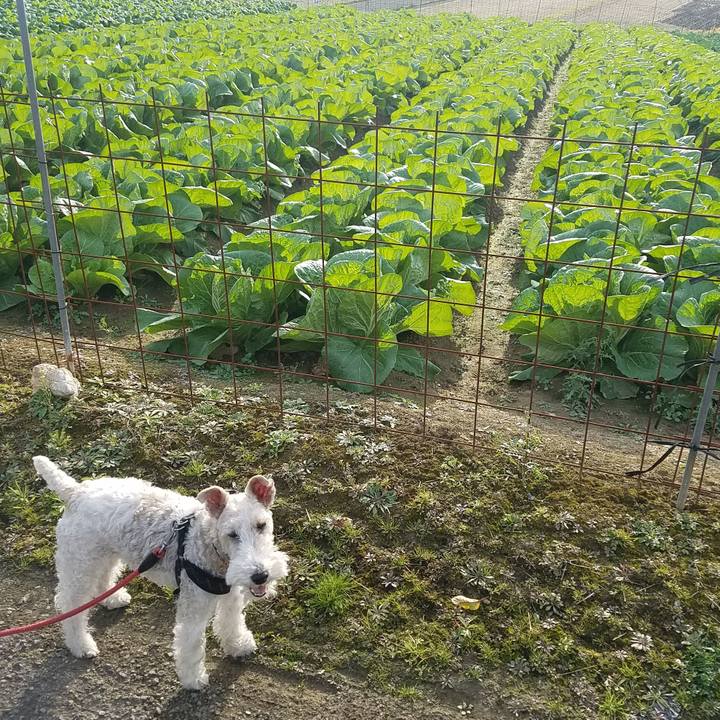 4600ce75 817f 4e86 82dc 954731d26f26 1543648581659