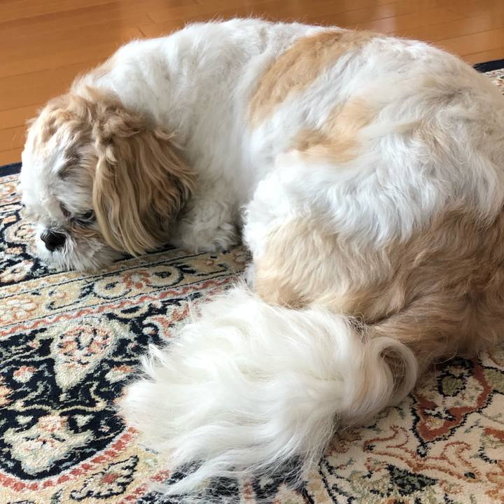 4600efe1 ec06 4f17 8be7 c94b31a10d47 1560376070969