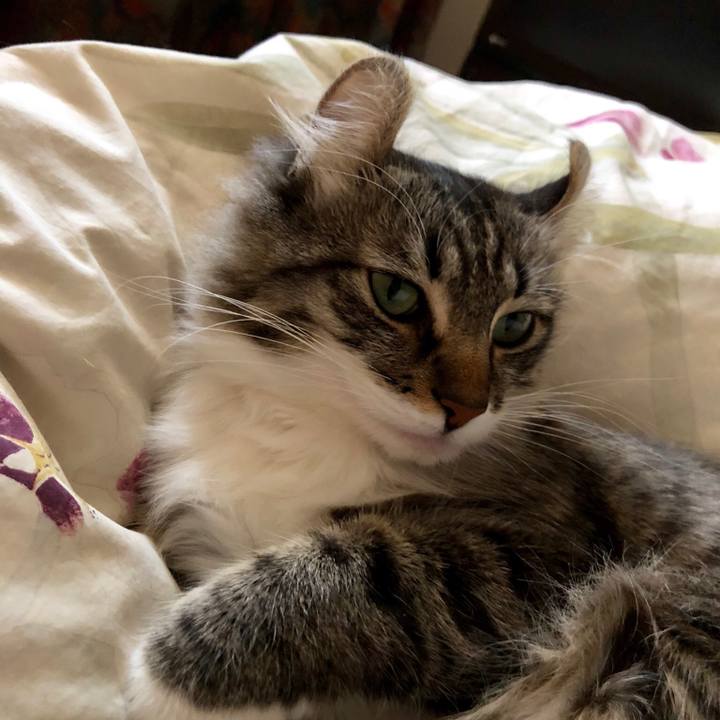 46014ab0 faff 4d7f 8c75 dd8f8d693d0b 1523403805928