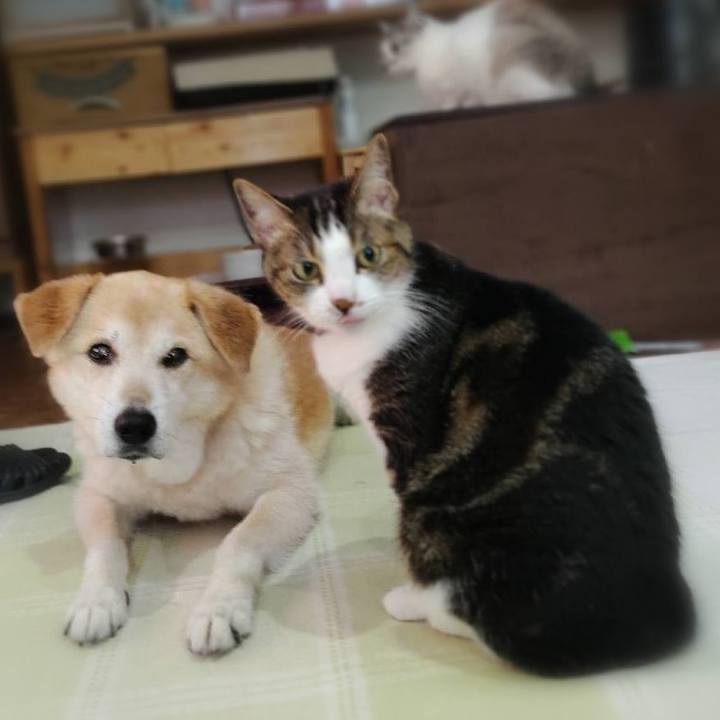 4601525c 174f 4395 8528 f7f6f51af1dc 1624873430069