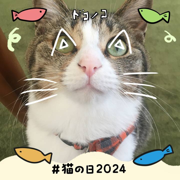 460154d8 2071 4327 bf34 4c0b0cca1d39 1708601200129