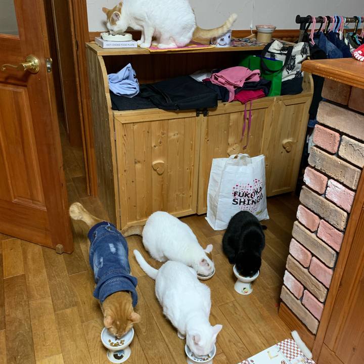 46016618 3bb0 4cfc 9aef 021f846acc83 1625754364628