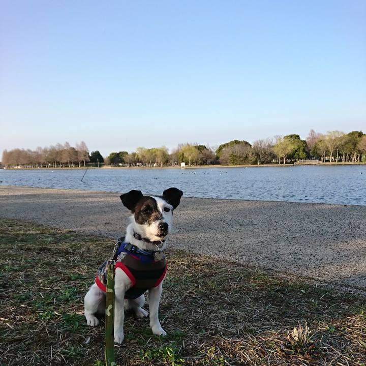 460181a2 5ca7 4ab2 99d4 bdd9bbcce8fc 1521272062533