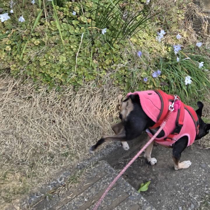 46018a2e 29b4 4669 9cbf 6353d0397bea 1774140837380