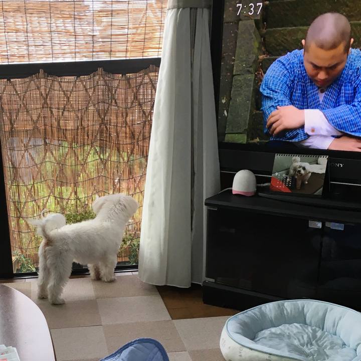 4601b491 dd00 4af9 b161 bb3387859267 1600297141594